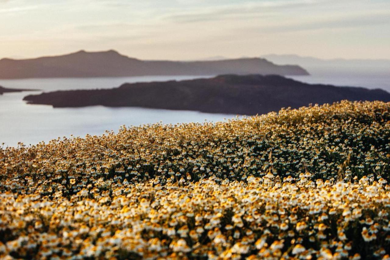 Arcana Santorini Villas, An Authentic Cycladic Experience Akrotírion Zewnętrze zdjęcie