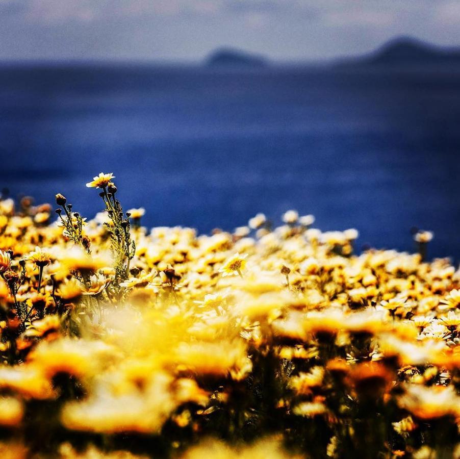 Arcana Santorini Villas, An Authentic Cycladic Experience Akrotírion Zewnętrze zdjęcie