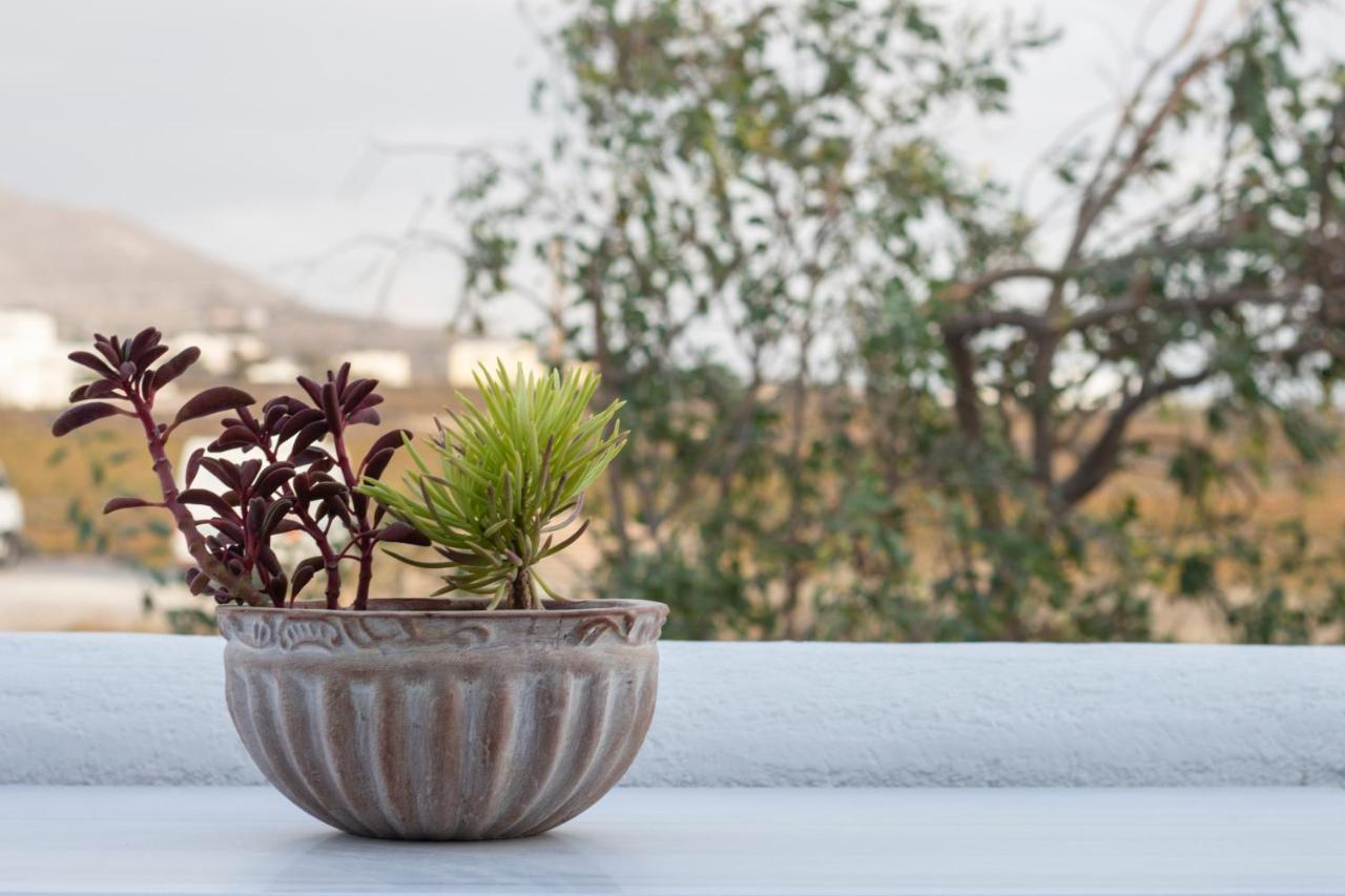 Arcana Santorini Villas, An Authentic Cycladic Experience Akrotírion Zewnętrze zdjęcie